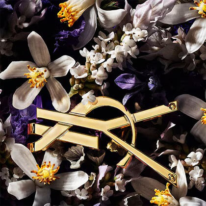 YSL - Libre L‘absolu Platine 90ml